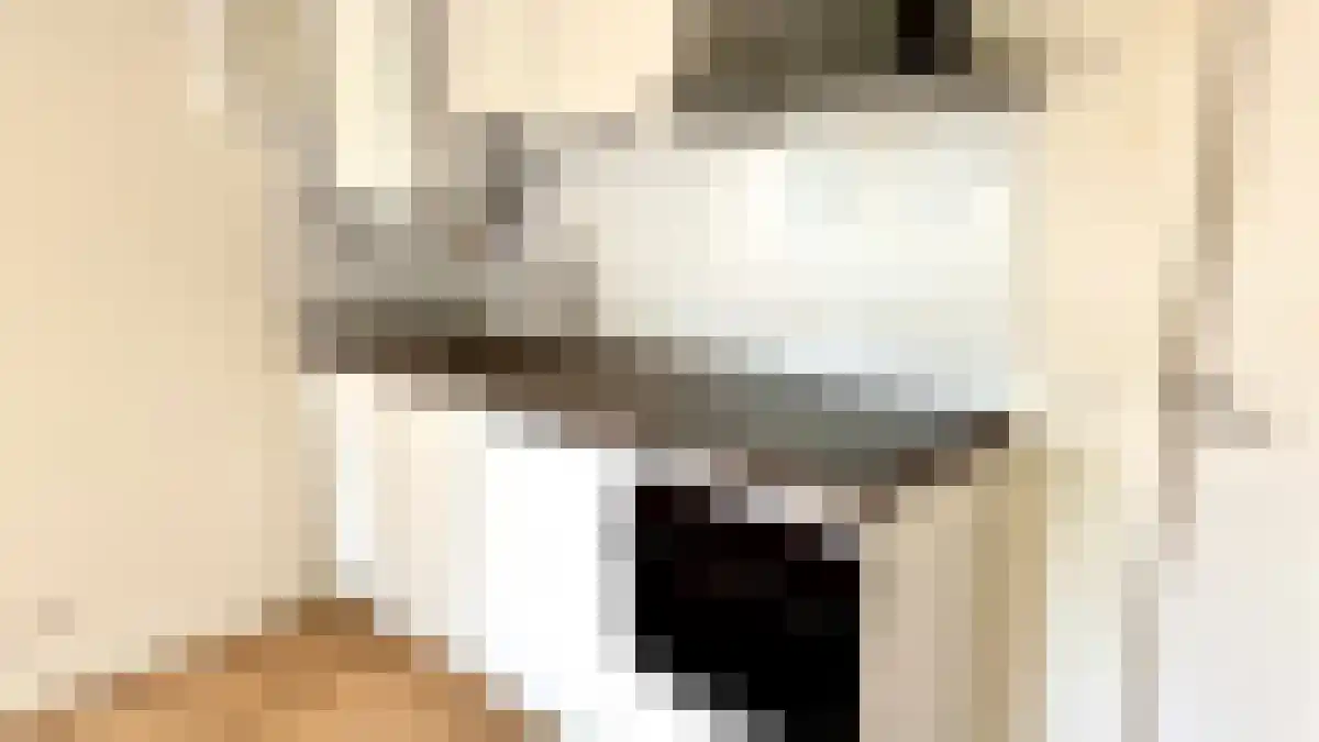 Reëelenstraat 2 A Koog aan de Zaan thumbnail 4
