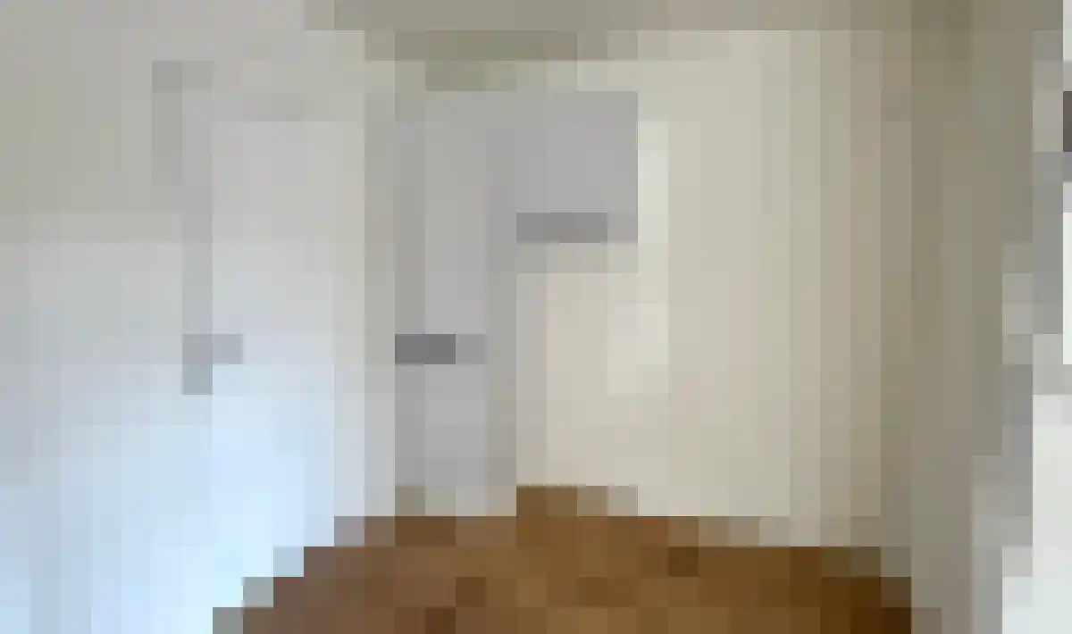 Reëelenstraat 2 A Koog aan de Zaan thumbnail 5