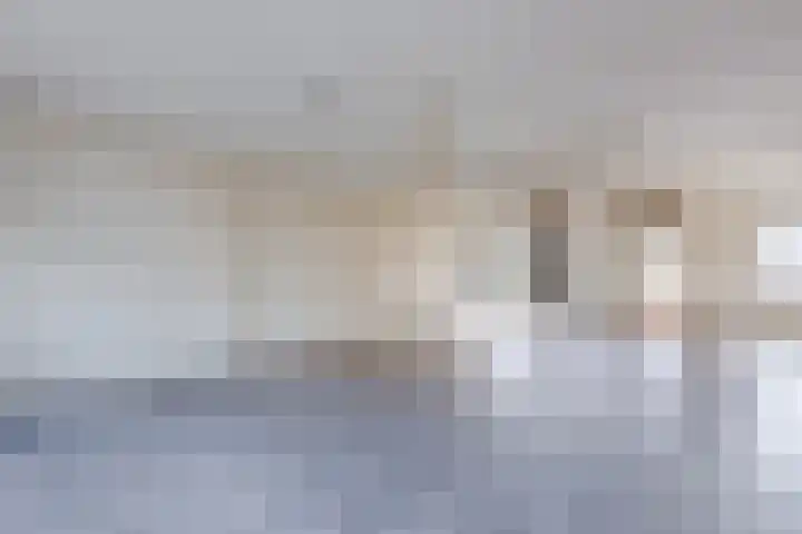 Reëelenstraat 2 Koog aan de Zaan thumbnail 14