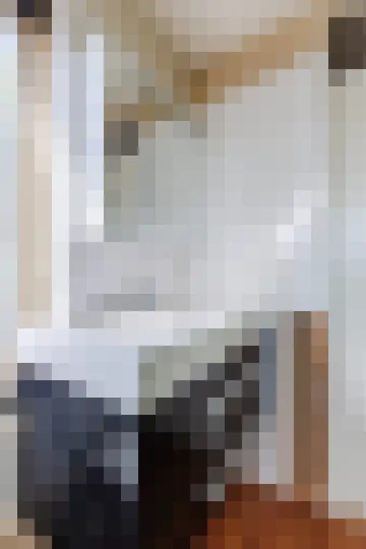 Reëelenstraat 2 Koog aan de Zaan thumbnail 20
