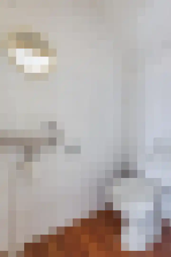Reëelenstraat 2 Koog aan de Zaan thumbnail 21