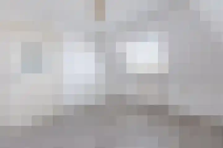 Reëelenstraat 2 Koog aan de Zaan thumbnail 25