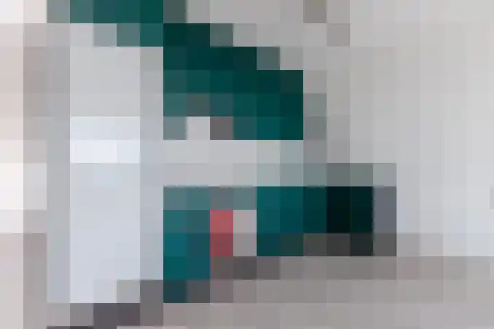 Reëelenstraat 2 Koog aan de Zaan thumbnail 30