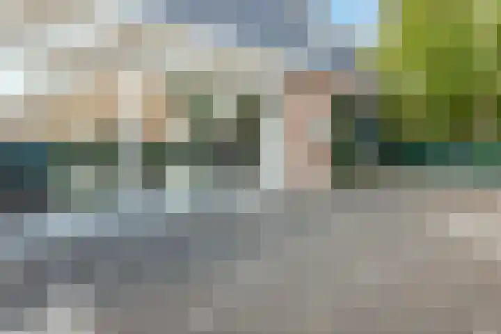Reëelenstraat 2 Koog aan de Zaan thumbnail 34