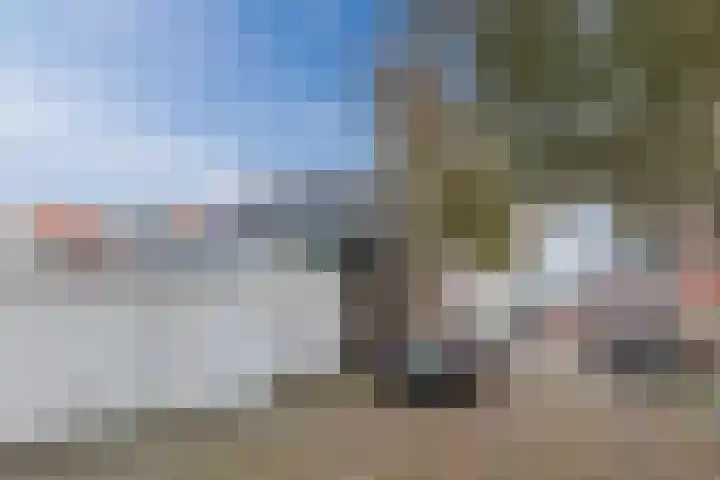 Reëelenstraat 2 Koog aan de Zaan thumbnail 36