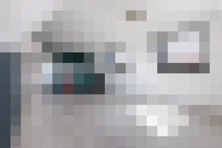 Reëelenstraat 2 Koog aan de Zaan thumbnail 4
