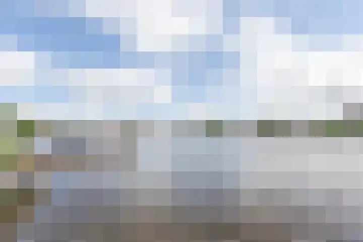 Reëelenstraat 2 Koog aan de Zaan thumbnail 43