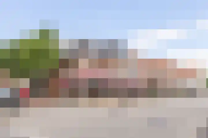 Reëelenstraat 2 Koog aan de Zaan thumbnail 5