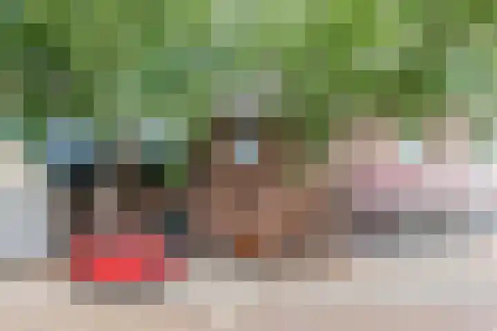 Reëelenstraat 2 Koog aan de Zaan thumbnail 7