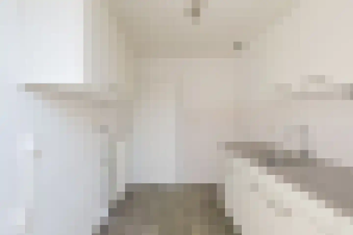 Reëelenstraat 23 Koog aan de Zaan thumbnail 10