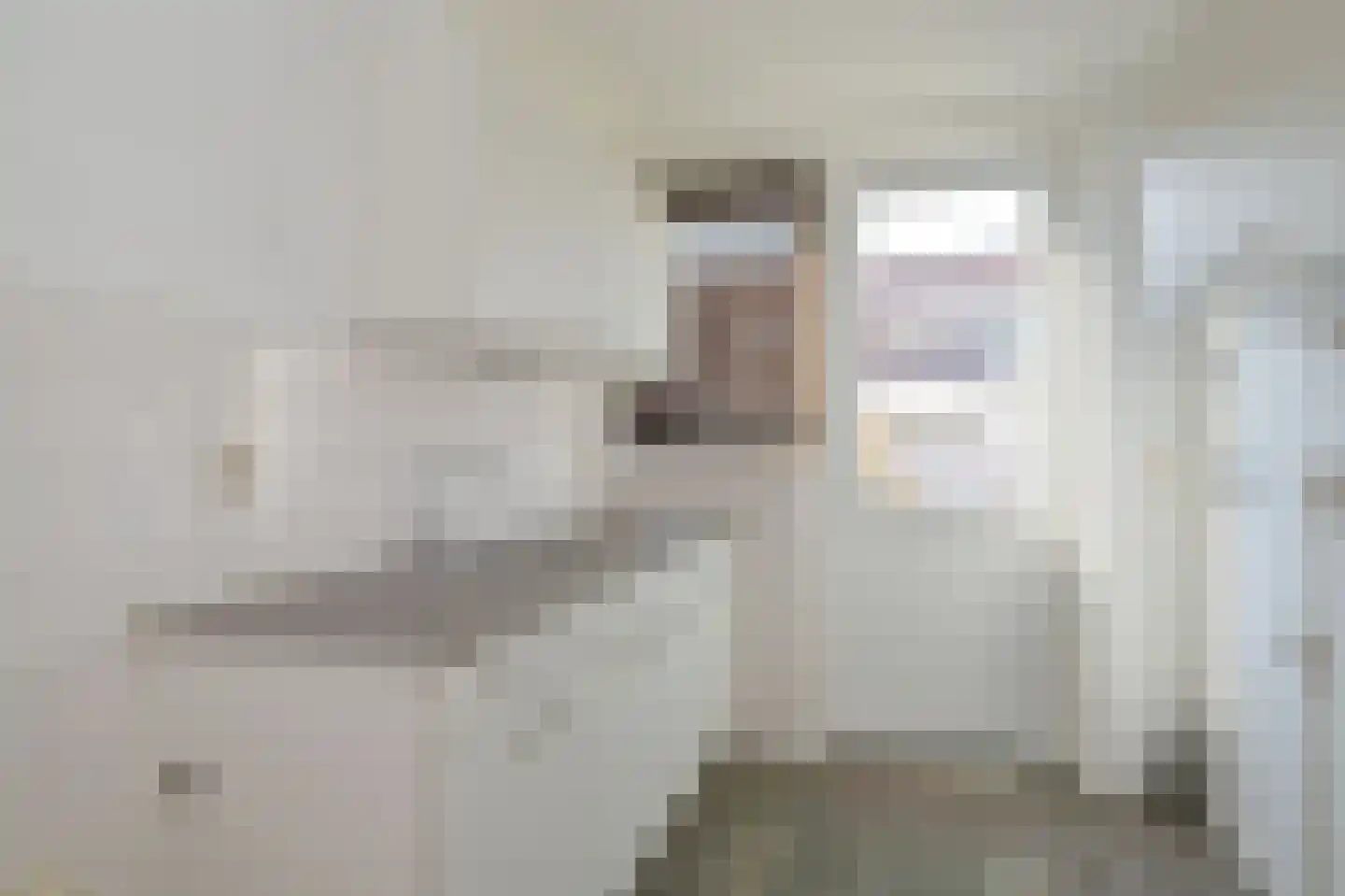 Reëelenstraat 23 Koog aan de Zaan thumbnail 11