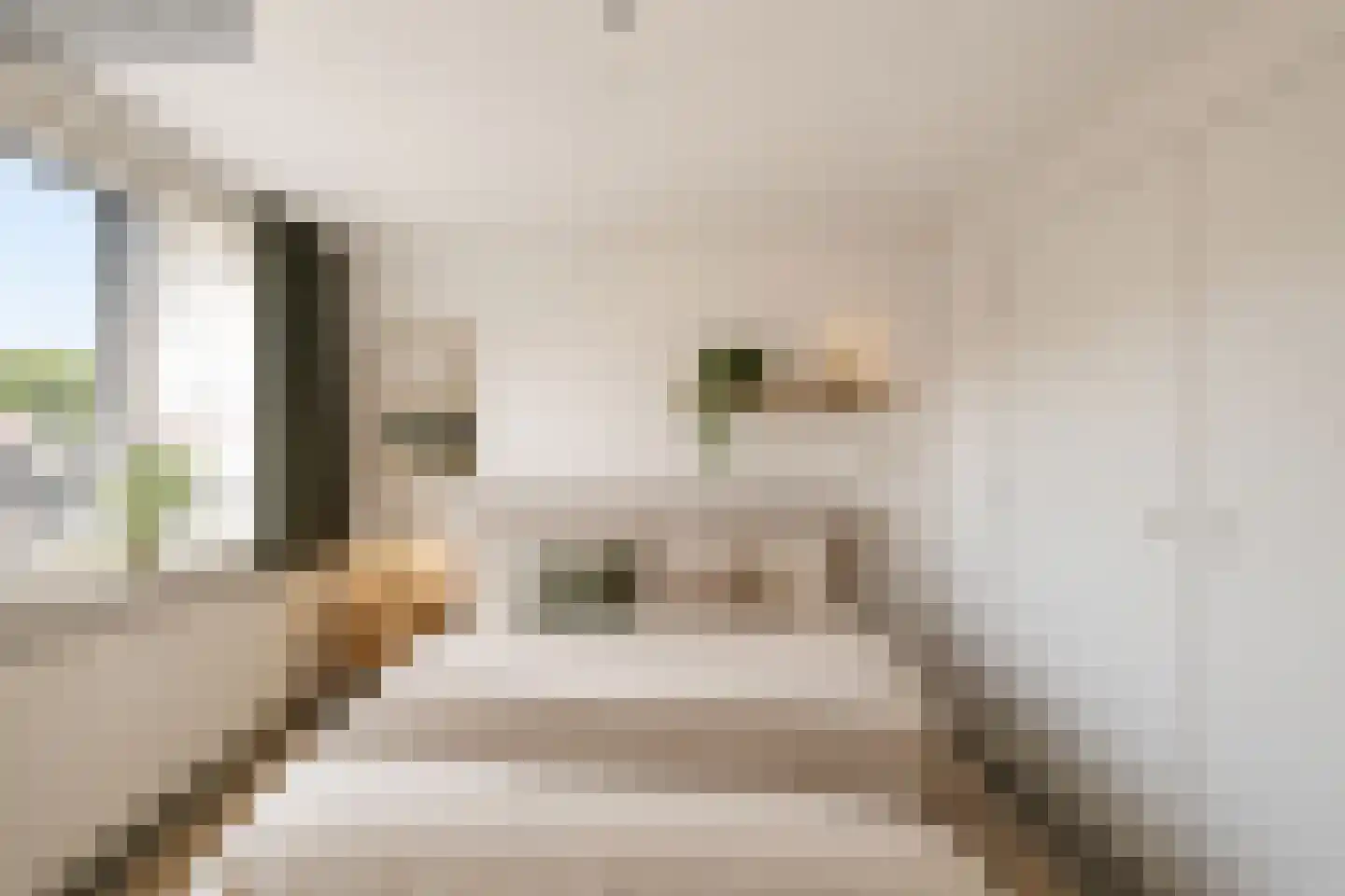 Reëelenstraat 23 Koog aan de Zaan thumbnail 17