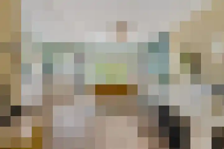 Reëelenstraat 26 Koog aan de Zaan thumbnail 13