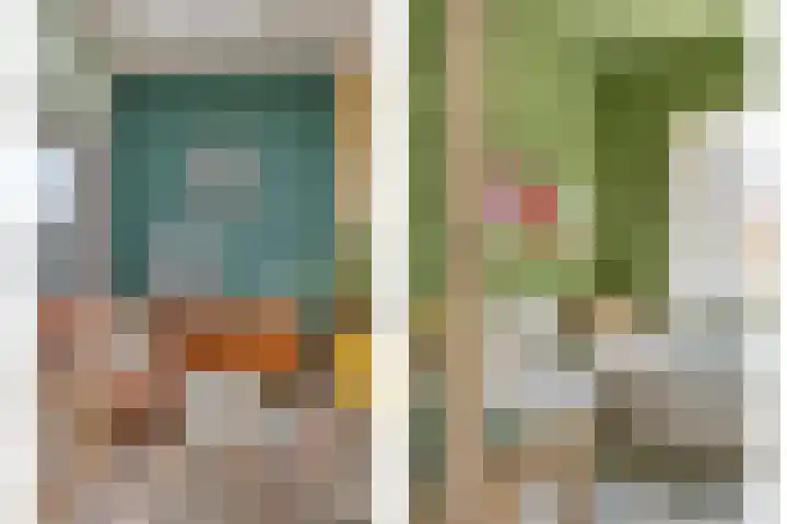 Reëelenstraat 26 Koog aan de Zaan thumbnail 17