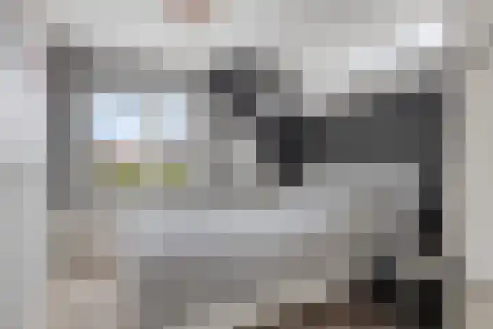 Reëelenstraat 26 Koog aan de Zaan thumbnail 26