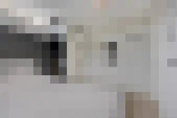 Reëelenstraat 26 Koog aan de Zaan thumbnail 27