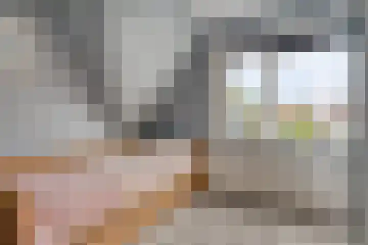 Reëelenstraat 26 Koog aan de Zaan thumbnail 28