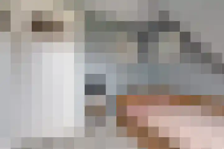 Reëelenstraat 26 Koog aan de Zaan thumbnail 29