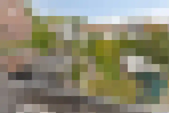 Reëelenstraat 26 Koog aan de Zaan thumbnail 34