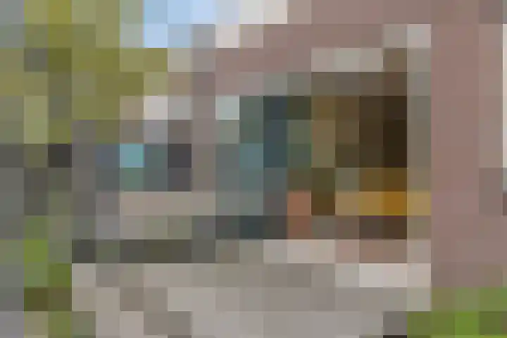 Reëelenstraat 26 Koog aan de Zaan thumbnail 36