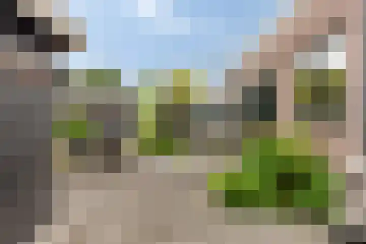Reëelenstraat 26 Koog aan de Zaan thumbnail 37