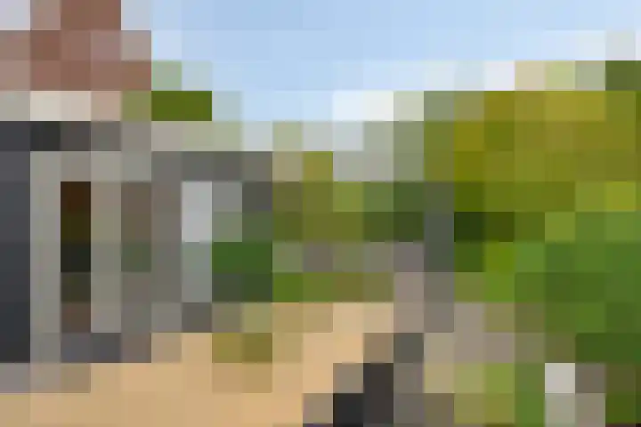 Reëelenstraat 26 Koog aan de Zaan thumbnail 38