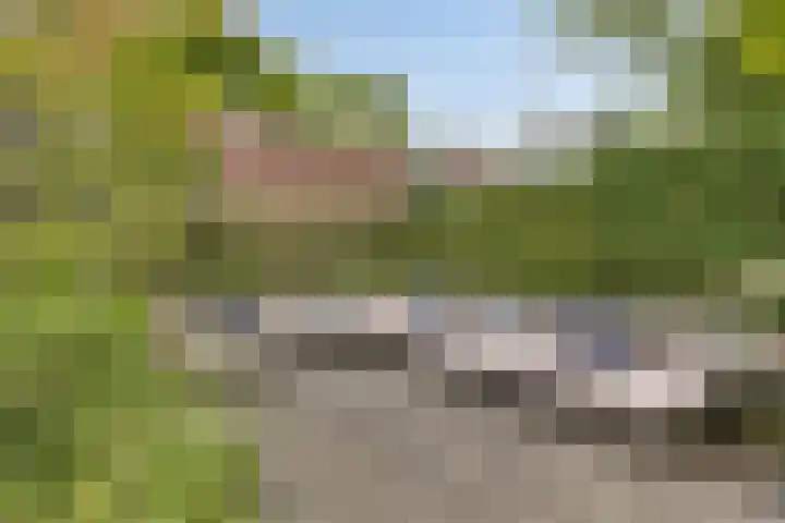 Reëelenstraat 26 Koog aan de Zaan thumbnail 39