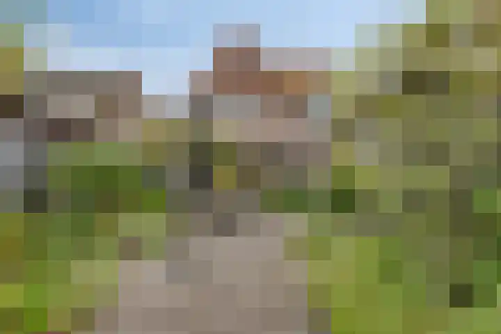 Reëelenstraat 26 Koog aan de Zaan thumbnail 40