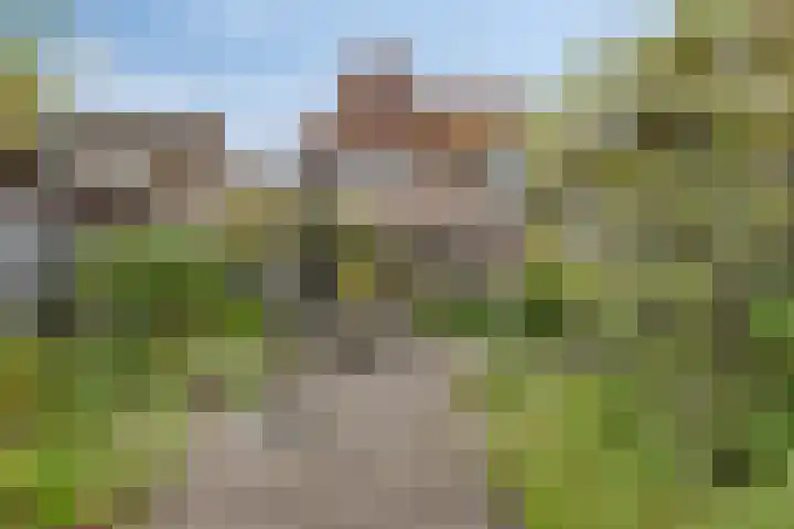 Reëelenstraat 26 Koog aan de Zaan thumbnail 5