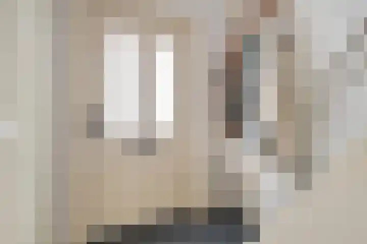 Reëelenstraat 26 Koog aan de Zaan thumbnail 7