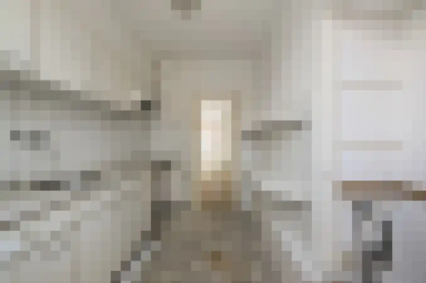 Reëelenstraat 8 Koog aan de Zaan thumbnail 11