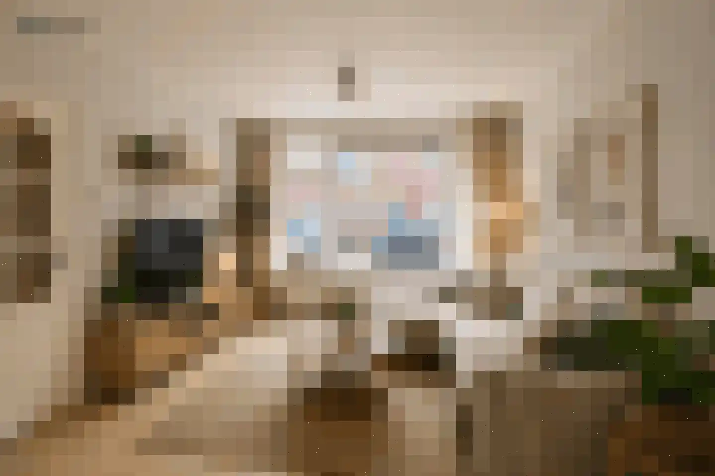Reëelenstraat 8 Koog aan de Zaan thumbnail 12