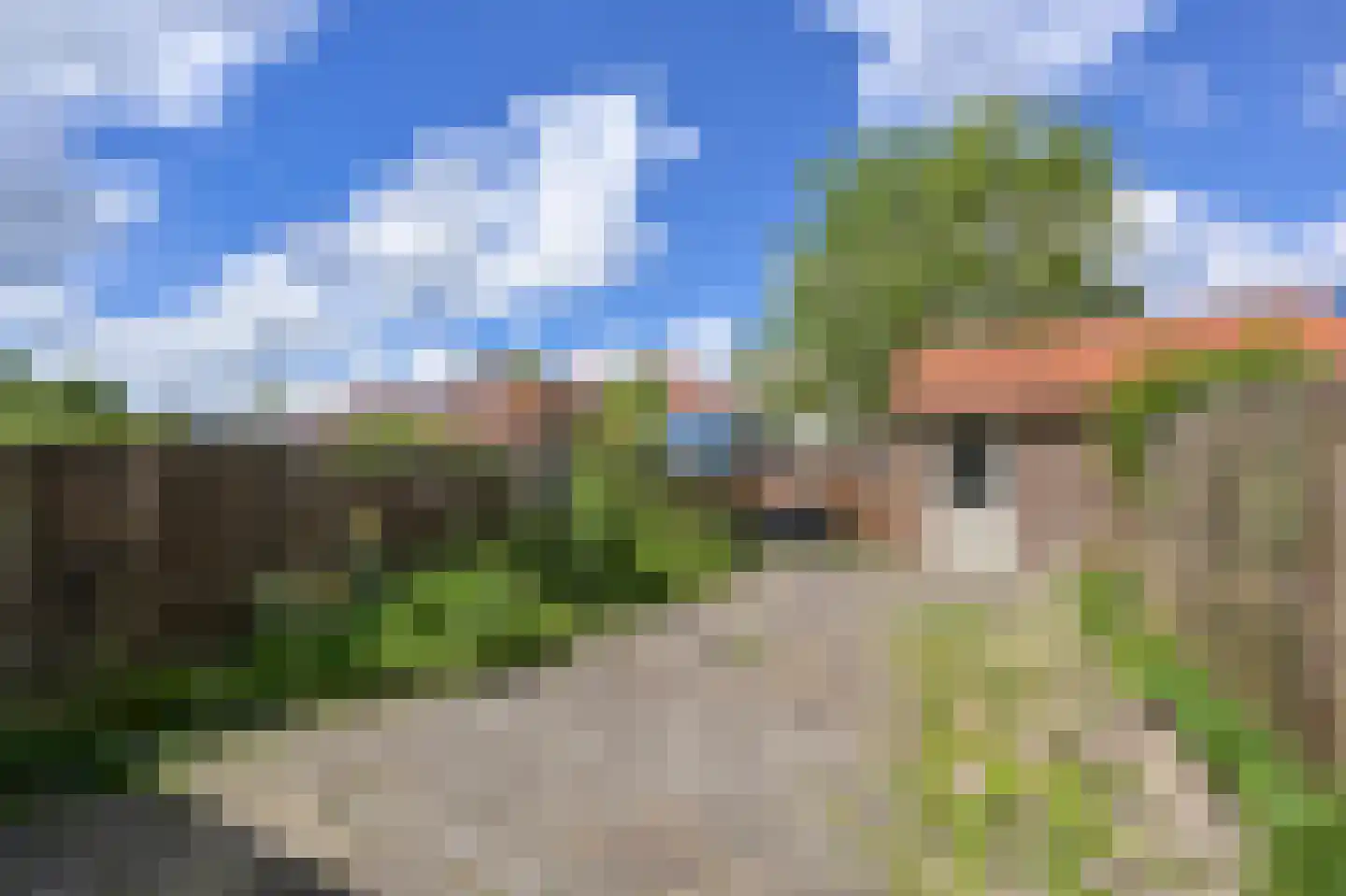 Reëelenstraat 8 Koog aan de Zaan thumbnail 17