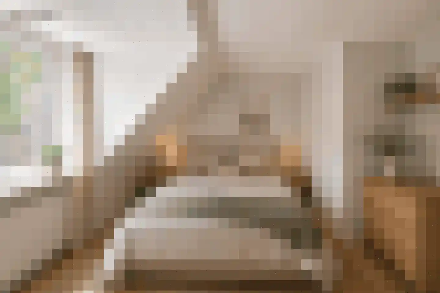 Reëelenstraat 8 Koog aan de Zaan thumbnail 25