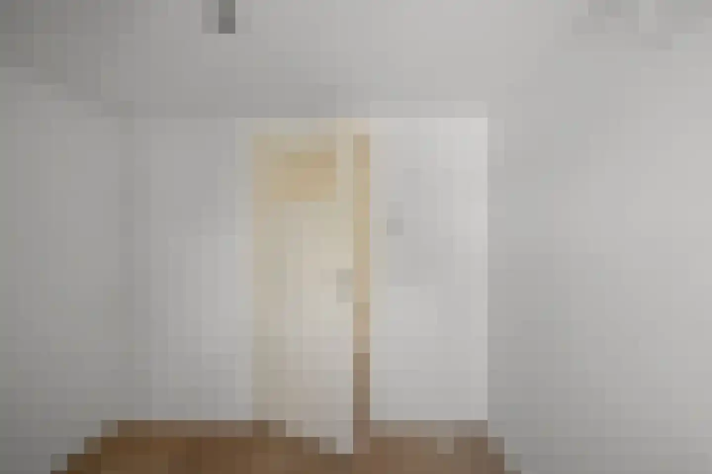Reëelenstraat 8 Koog aan de Zaan thumbnail 31