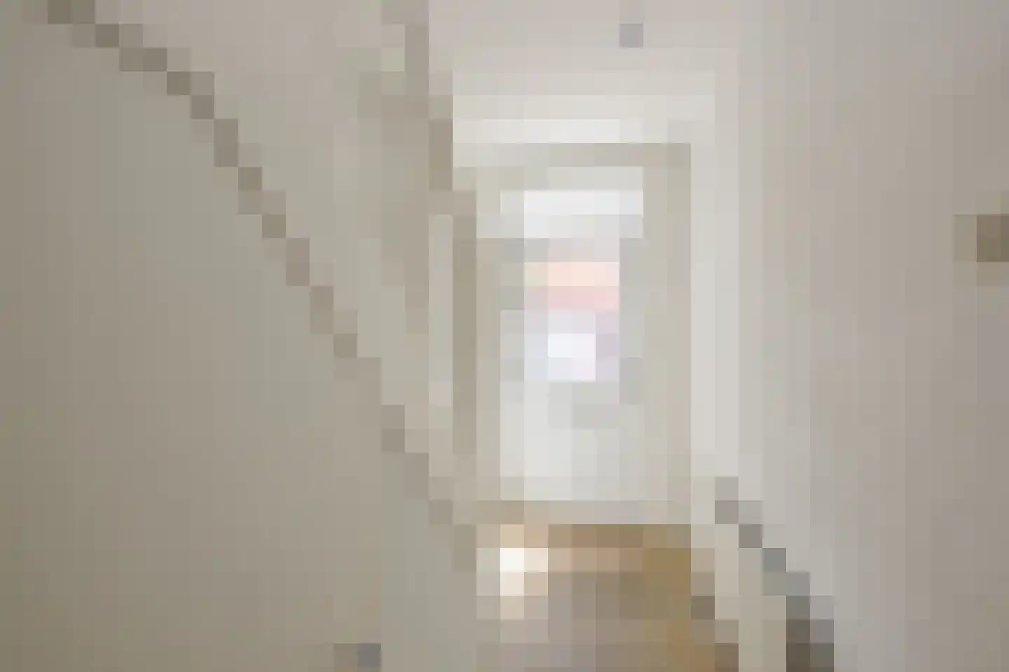 Reëelenstraat 8 Koog aan de Zaan thumbnail 6