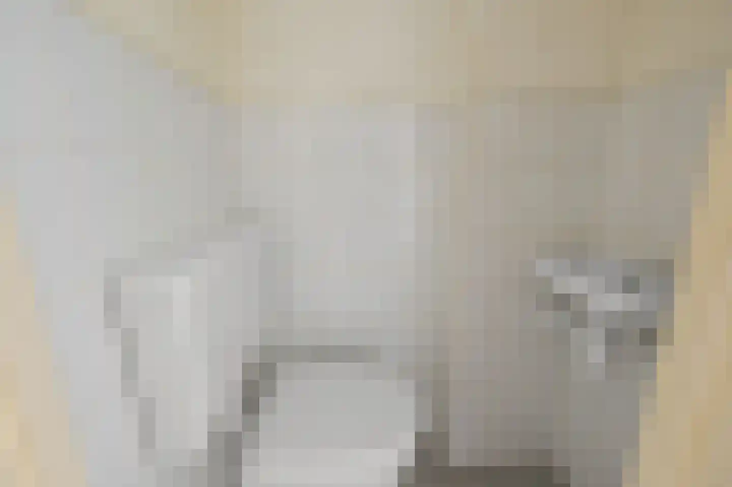 Reëelenstraat 8 Koog aan de Zaan thumbnail 8