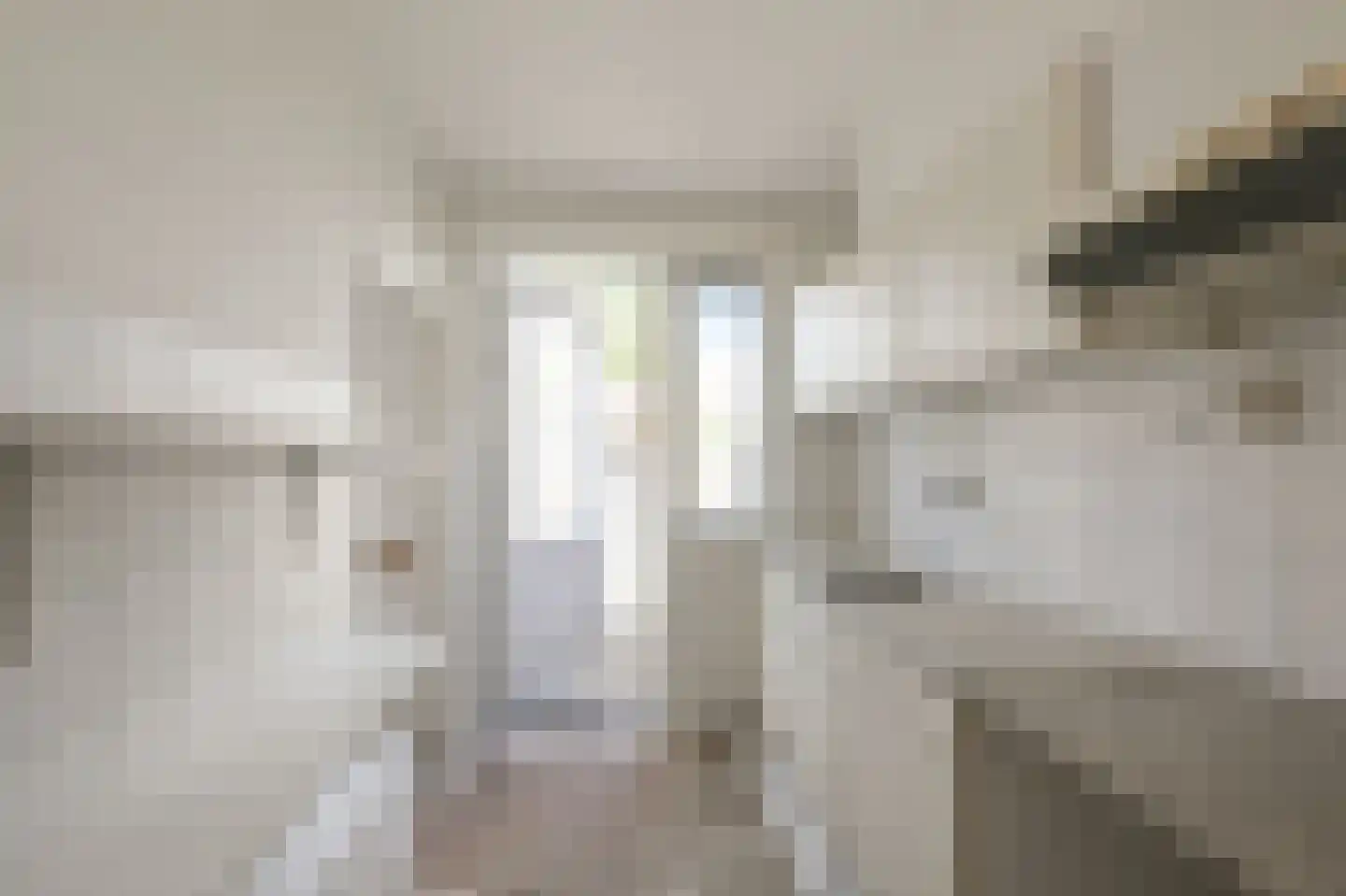 Reëelenstraat 8 Koog aan de Zaan thumbnail 9
