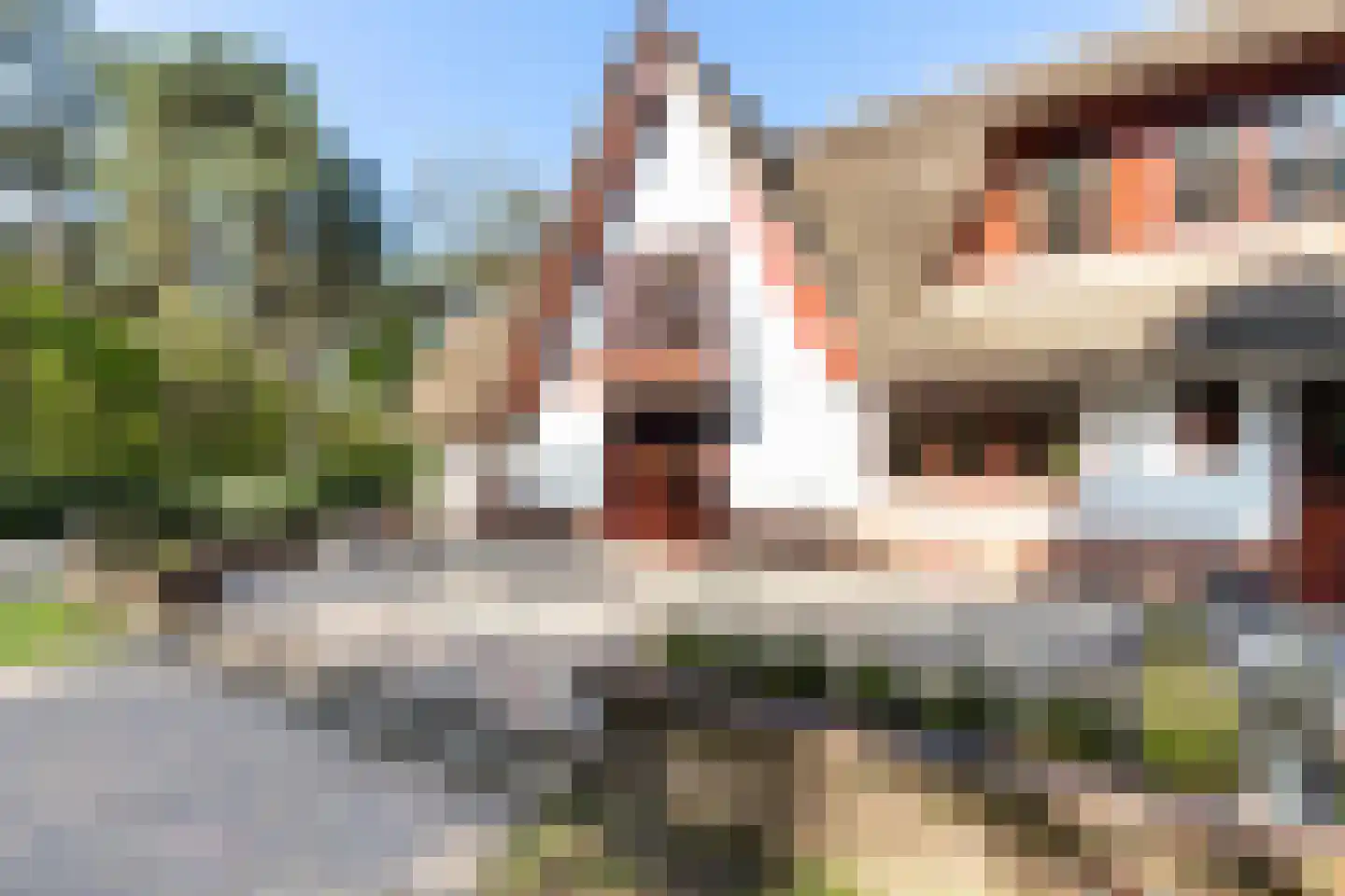 Reeënbergweg 10 Beekbergen thumbnail 13