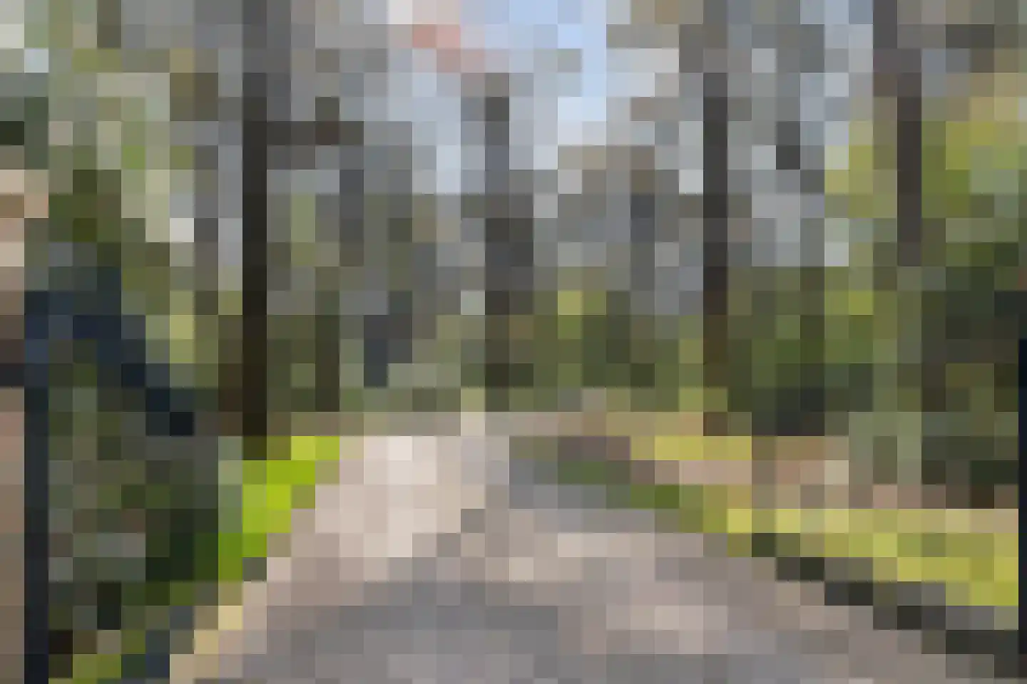 Reeënbergweg 10 Beekbergen thumbnail 6