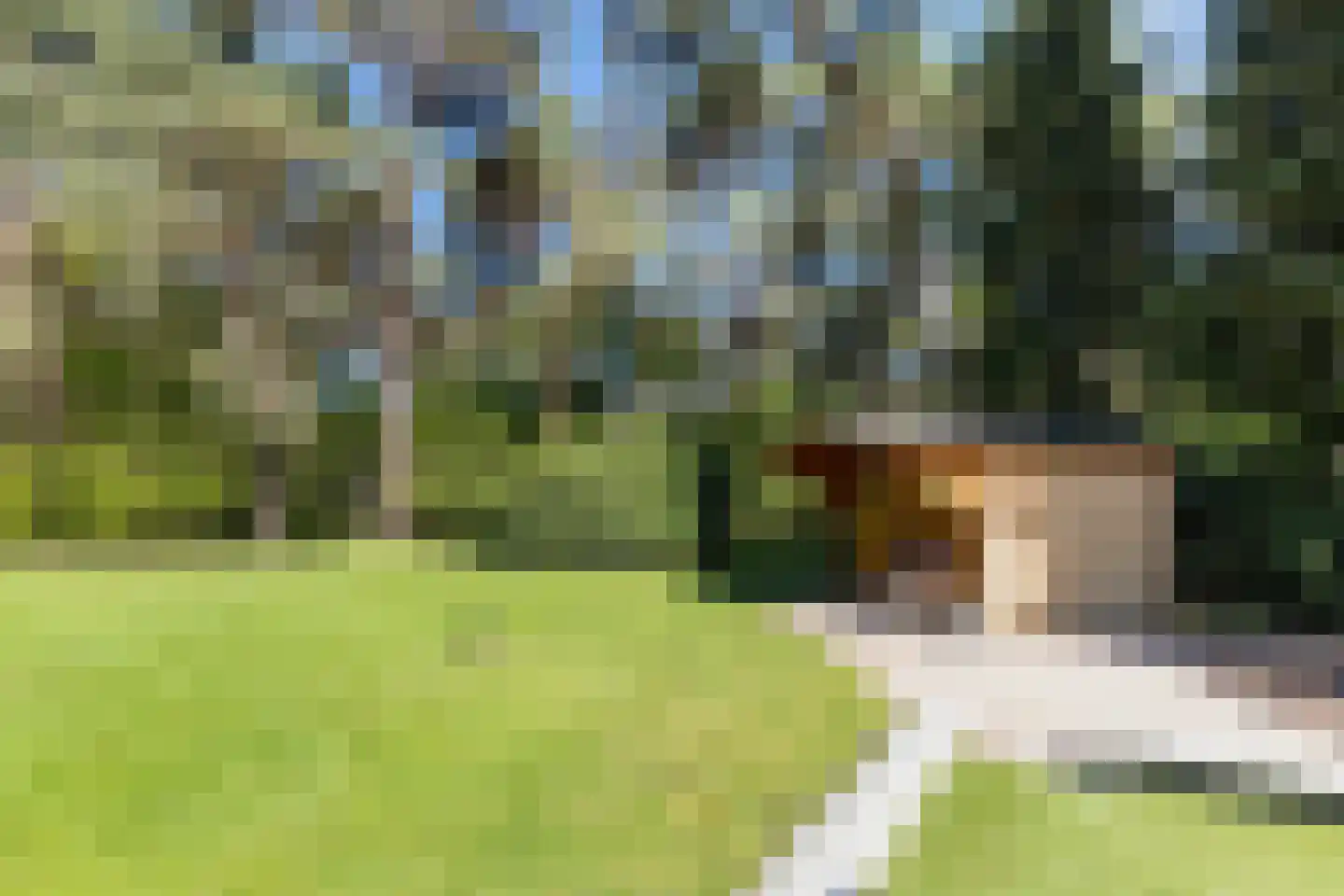 Reeënbergweg 10 Beekbergen thumbnail 65