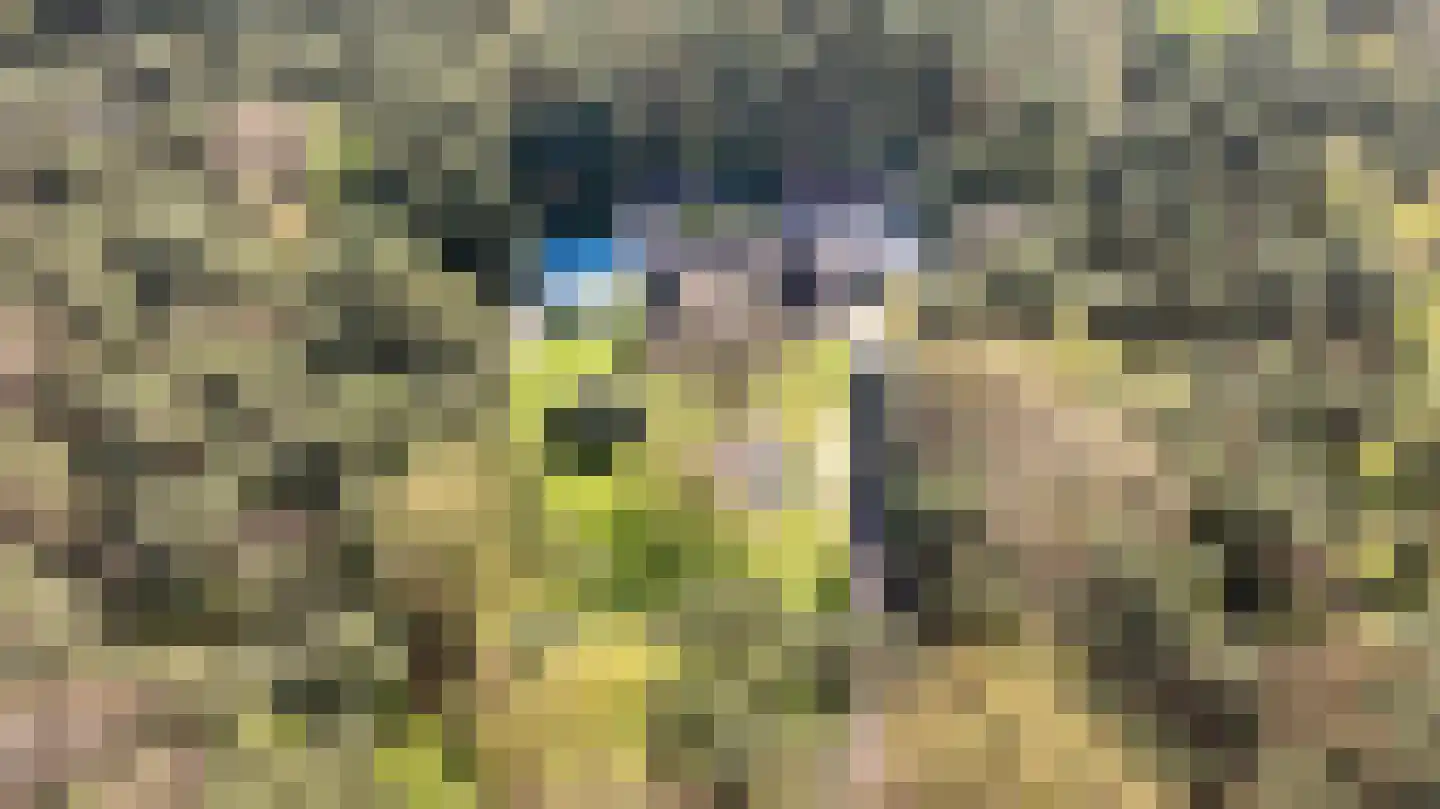 Reeënbergweg 10 Beekbergen thumbnail 67
