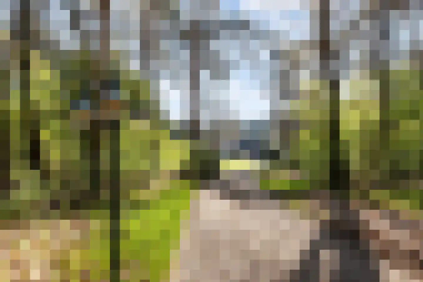 Reeënbergweg 10 Beekbergen thumbnail 8