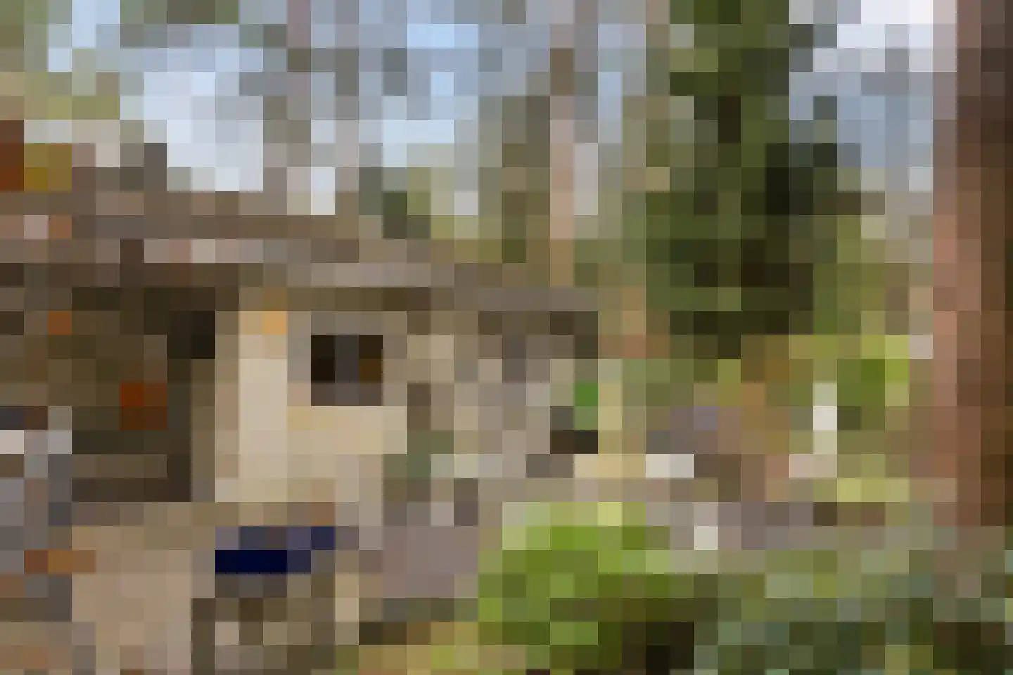 Reeënbergweg 18 113 Beekbergen thumbnail 17
