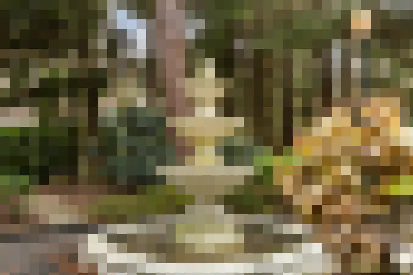 Reeënbergweg 18 113 Beekbergen thumbnail 21