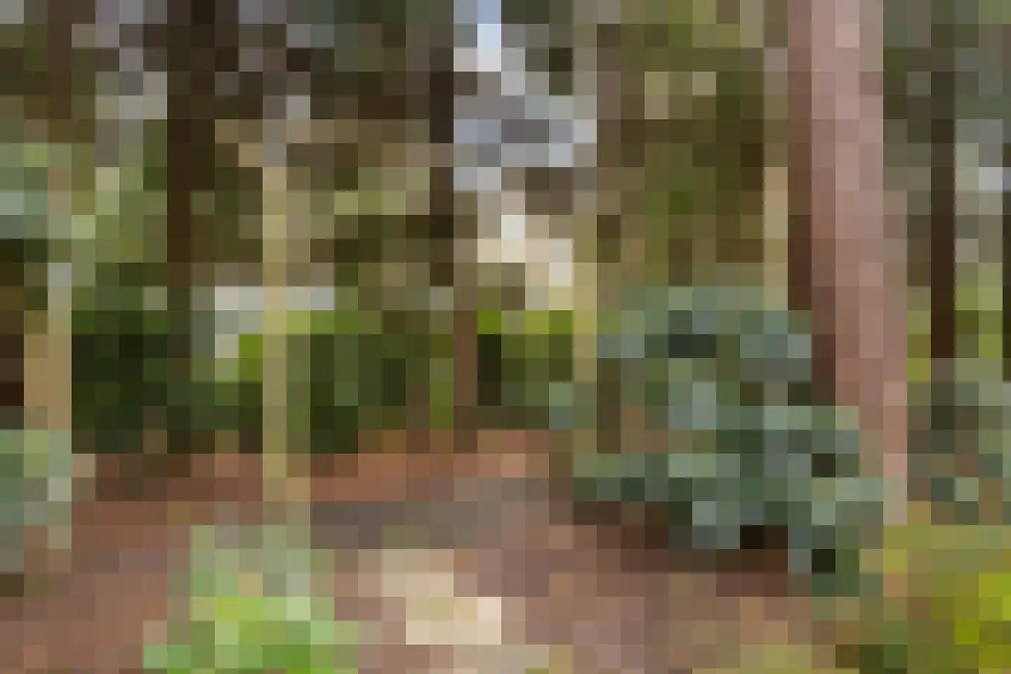 Reeënbergweg 18 113 Beekbergen thumbnail 23