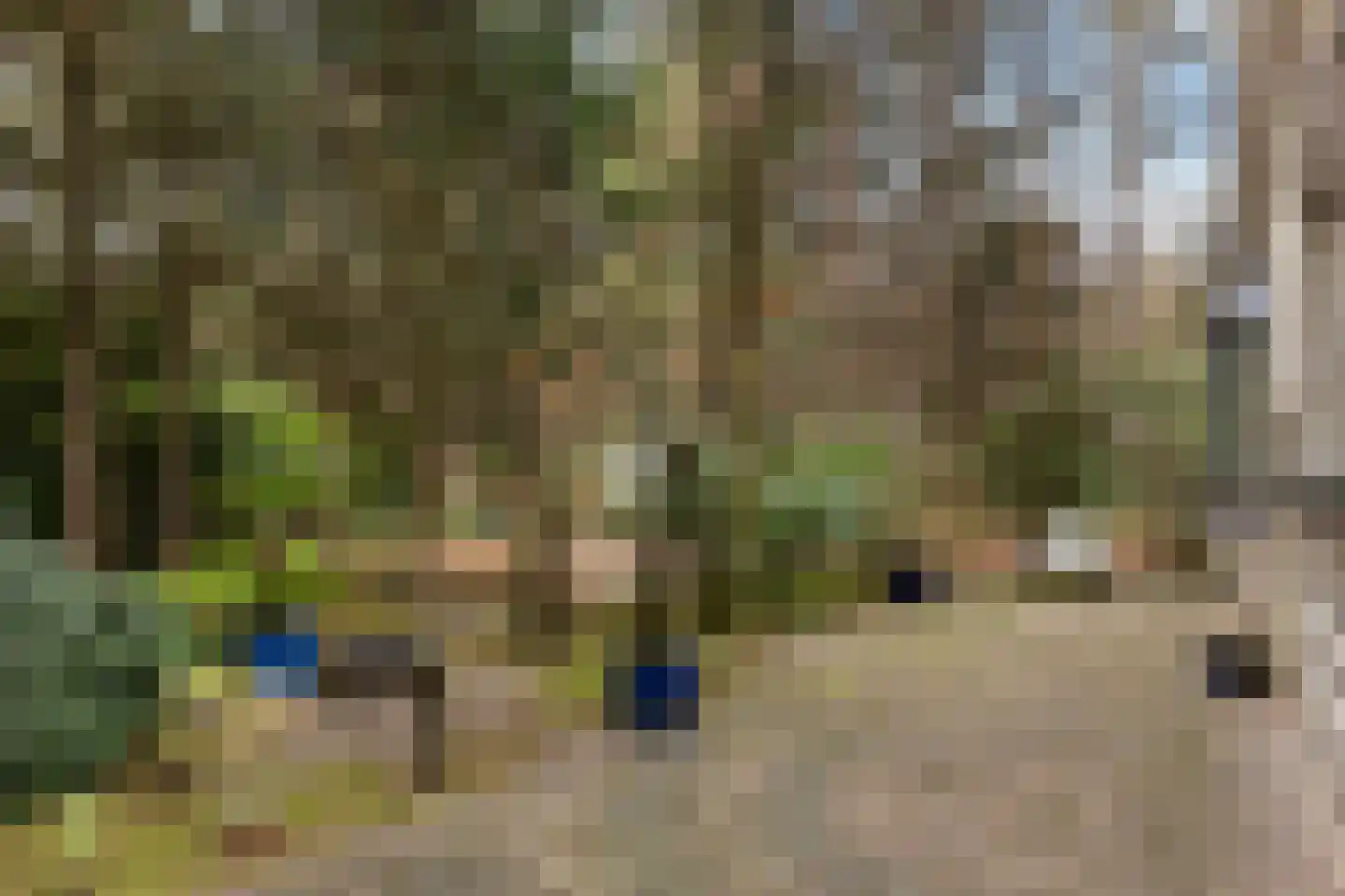 Reeënbergweg 18 113 Beekbergen thumbnail 24