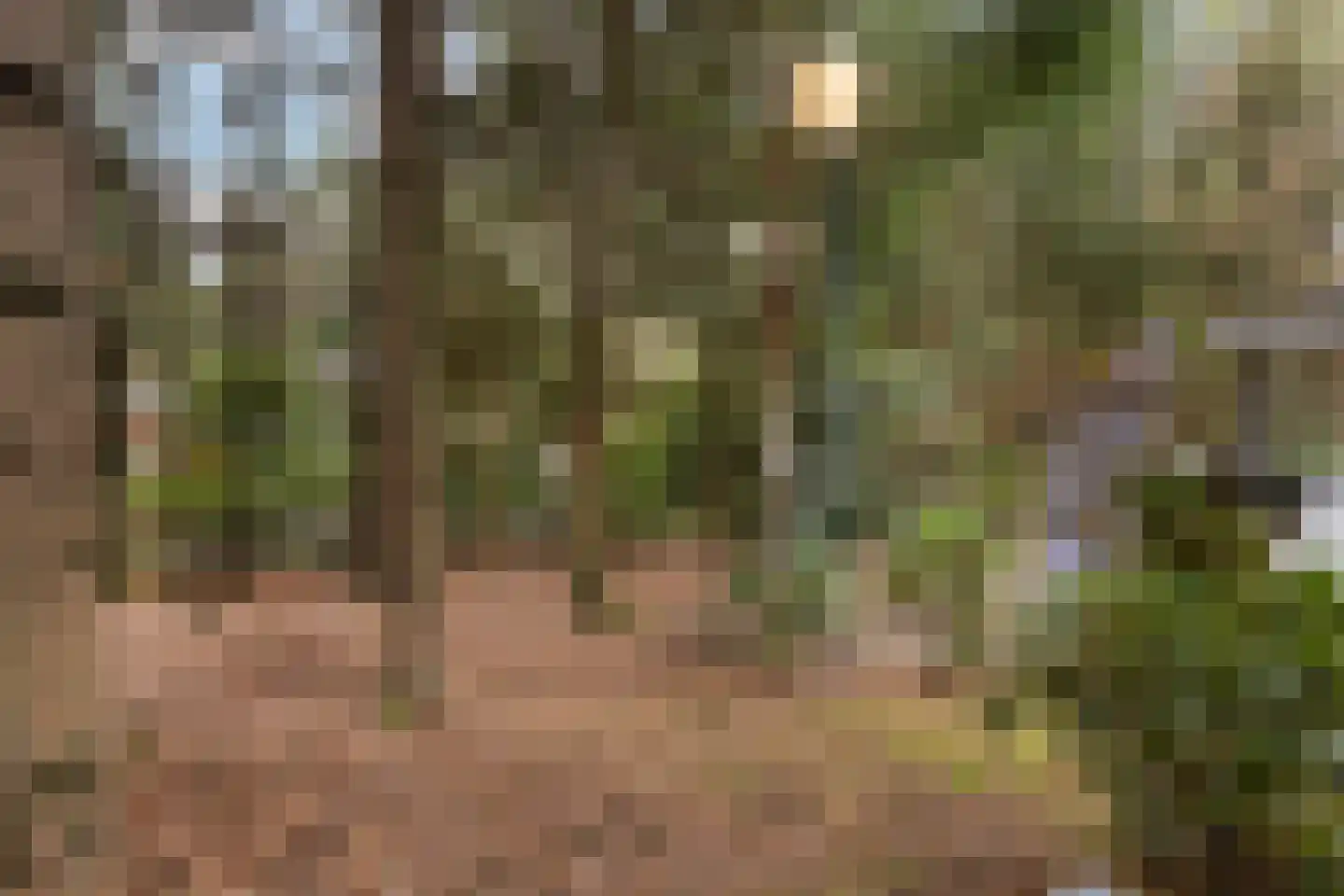 Reeënbergweg 18 113 Beekbergen thumbnail 25