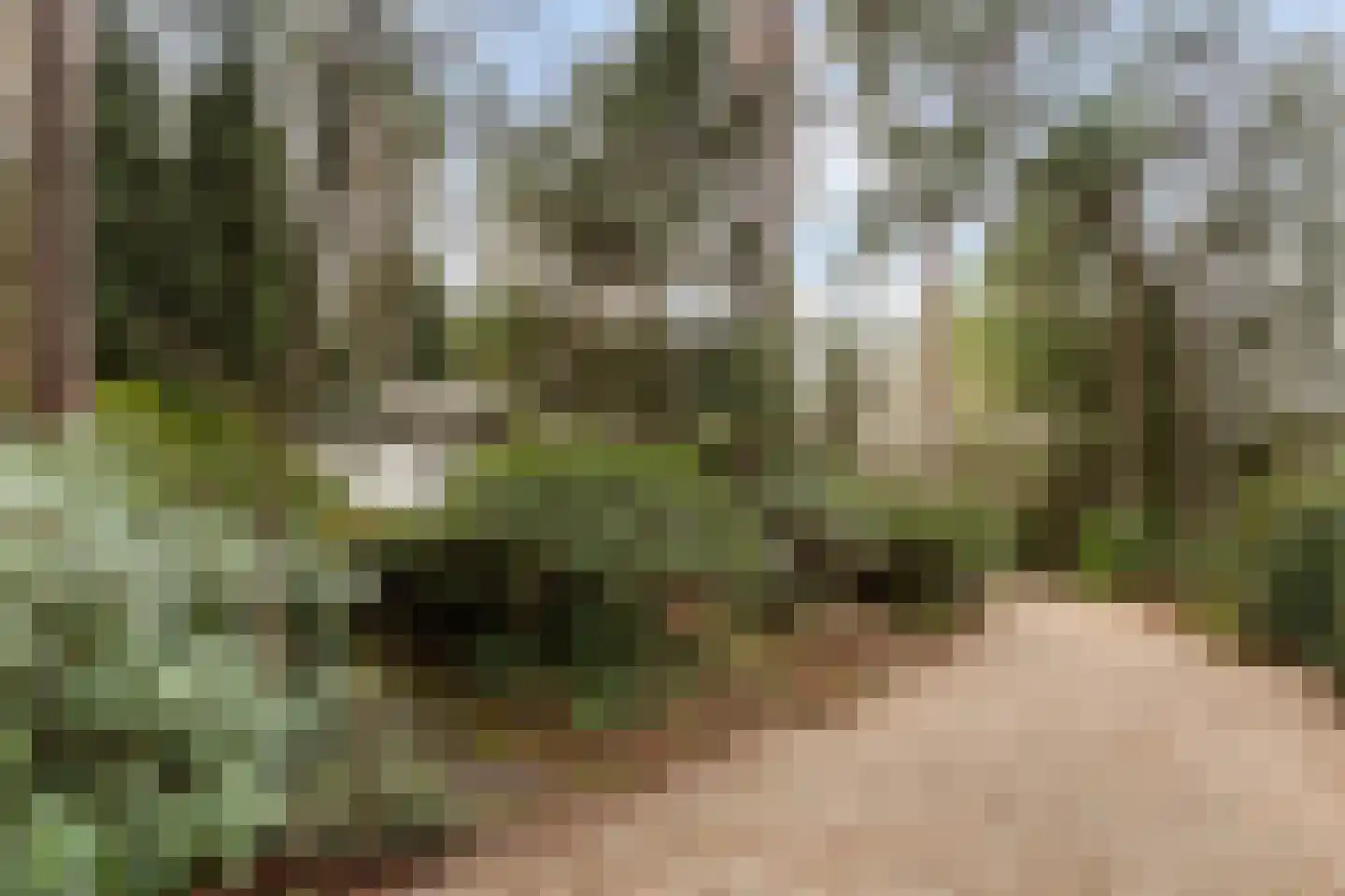 Reeënbergweg 18 113 Beekbergen thumbnail 27