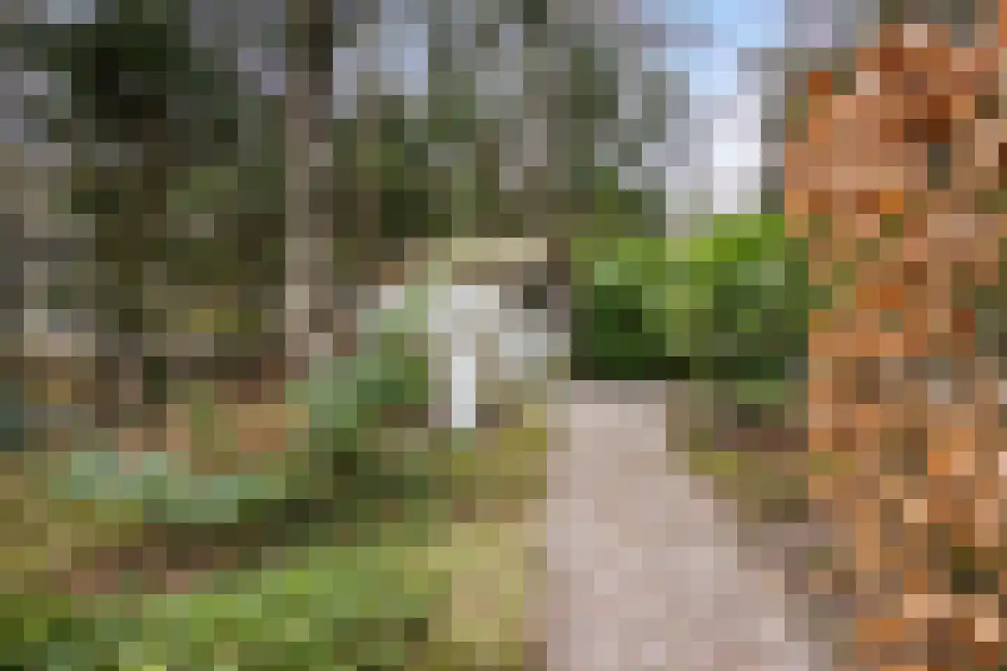Reeënbergweg 18 33A Beekbergen thumbnail 19